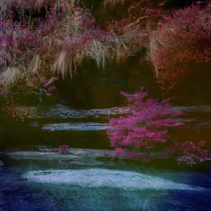 雁门照1400照片的在线观看
